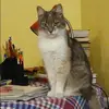 Отзыв от Ирина Ильинская